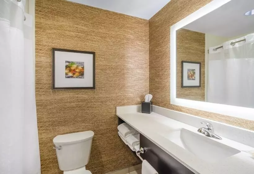 身障者適用スタンダードルーム, Holiday Inn   Terre Haute, An Ihg