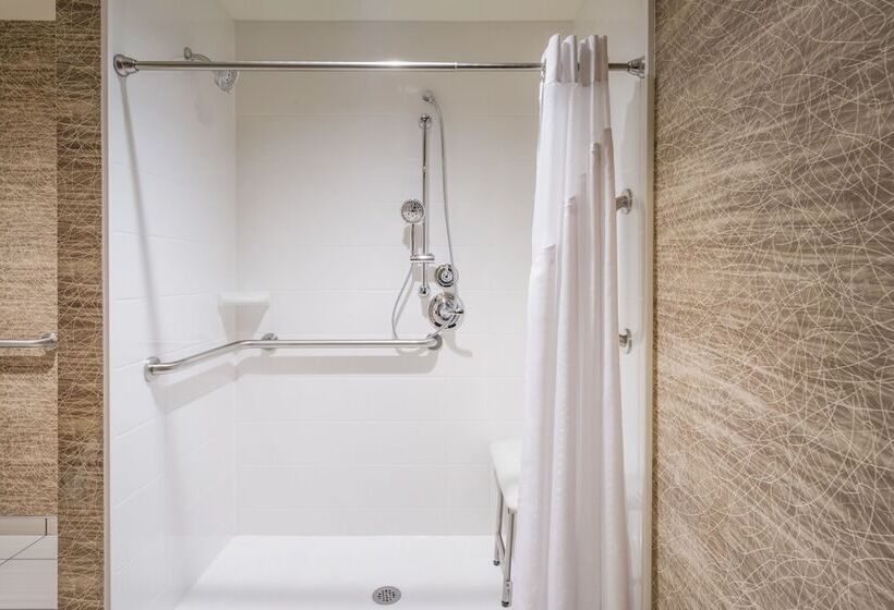 장애인을 위한 스탠다드 룸, Holiday Inn   Terre Haute, An Ihg