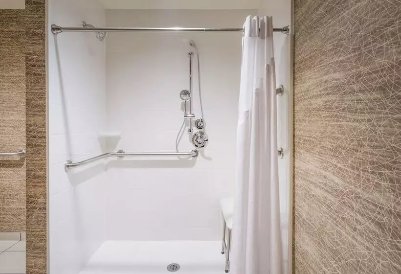 身障者適用スタンダードルーム, Holiday Inn   Terre Haute, An Ihg