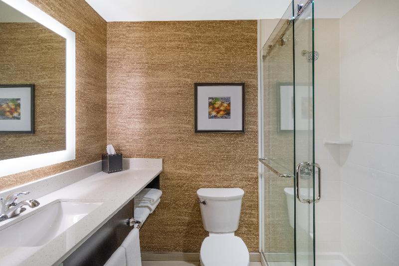 스탠다드 룸 킹사이즈 침대, Holiday Inn   Terre Haute, An Ihg