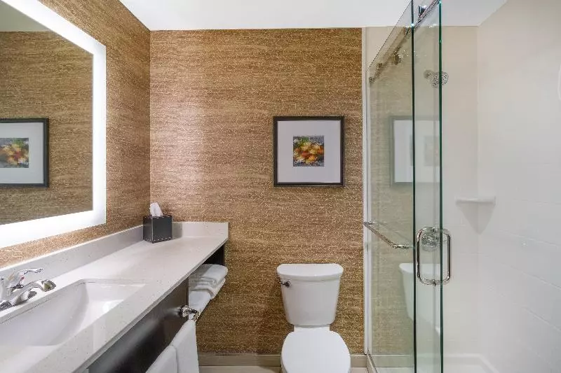 キングサイズベッドのスタンダードルーム, Holiday Inn   Terre Haute, An Ihg