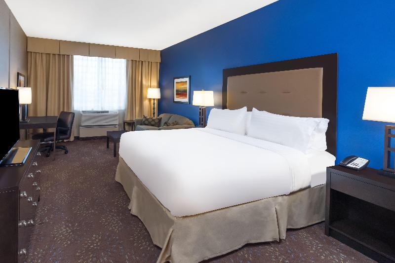 스탠다드 룸 킹사이즈 침대, Holiday Inn   Terre Haute, An Ihg