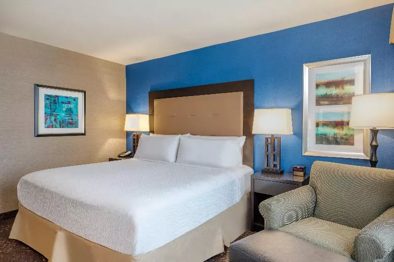 キングサイズベッドのスタンダードルーム, Holiday Inn   Terre Haute, An Ihg