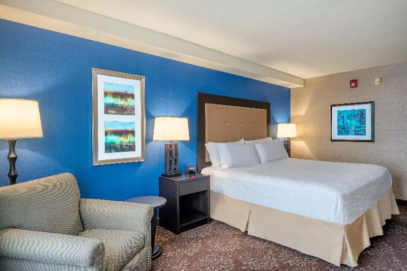 身障者適用キングサイズベッドルーム, Holiday Inn   Terre Haute, An Ihg