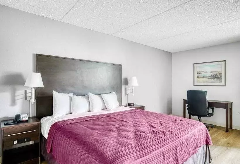 スイート, OYO Hotel Burlington South