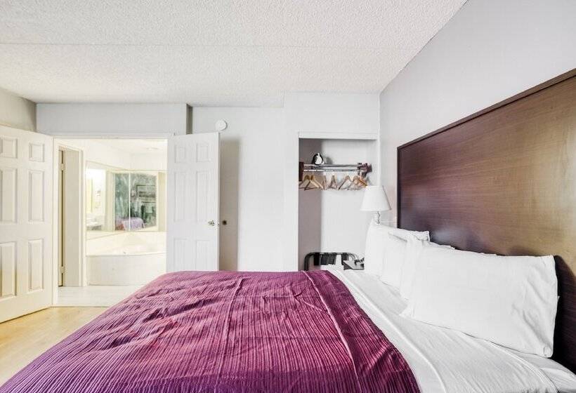 Люкс, OYO Hotel Burlington South