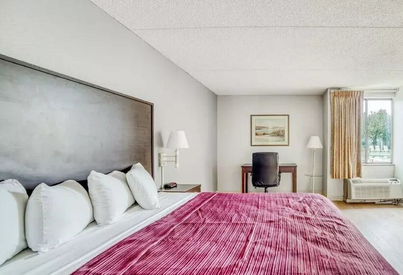 スイート, OYO Hotel Burlington South