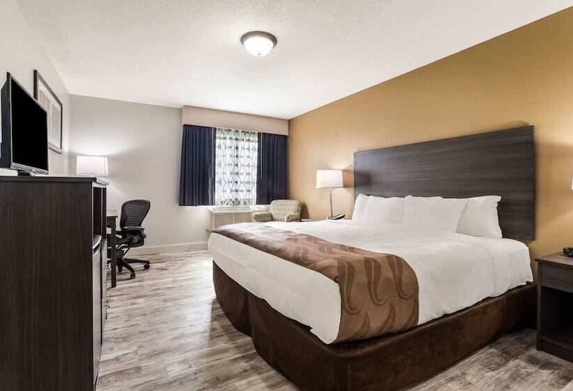 带大床的标准间, Quality Inn