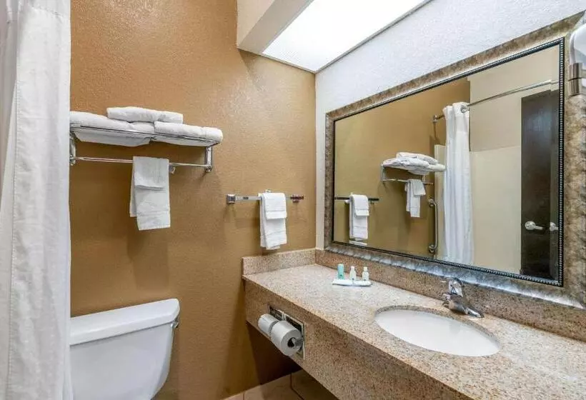 キングサイズベッドのスタンダードルーム, Quality Inn & Suites Jefferson City