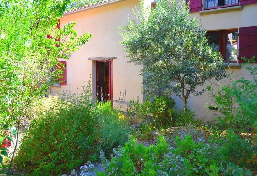 غرفة عائلية, Maison De La Vigne
