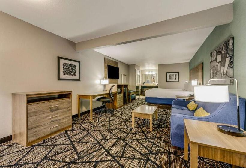 חדר סטנדרט עם מיטת קינג, Best Western Huntsville