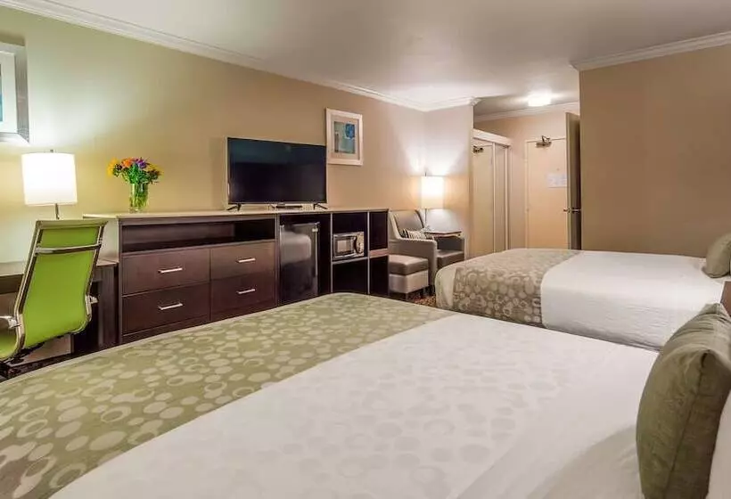 ２ダブルベッドのスタンダードルーム, Best Western Plus La Mesa San Diego