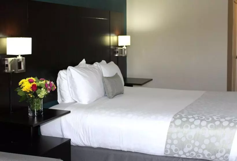 ダブルベッドスタンダードルーム, Best Western Plus La Mesa San Diego