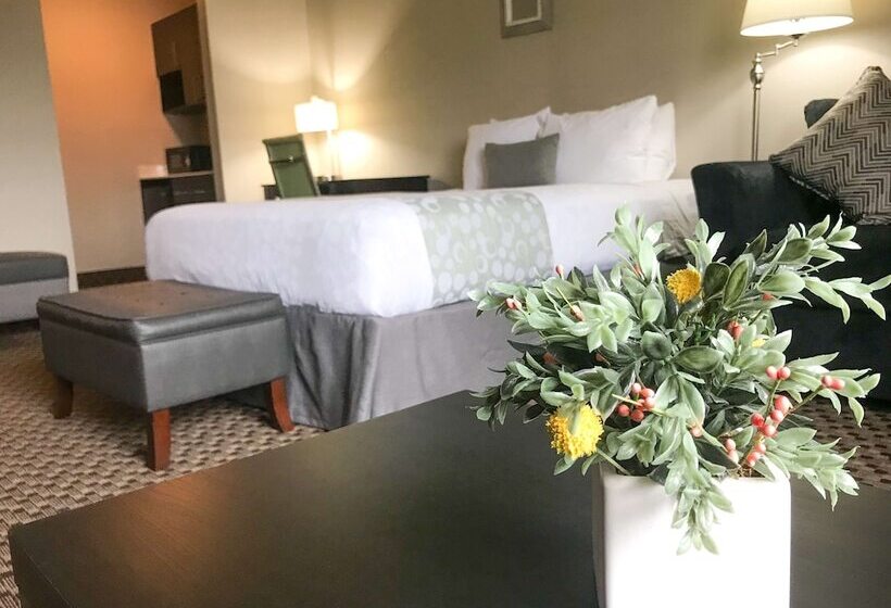 غرفة قياسية سرير مزدوج, Best Western Plus La Mesa San Diego