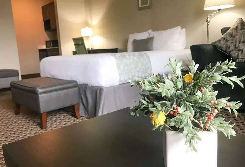ダブルベッドスタンダードルーム, Best Western Plus La Mesa San Diego
