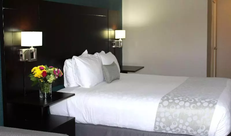 キングサイズベッドのスタンダードルーム, Best Western Plus La Mesa San Diego