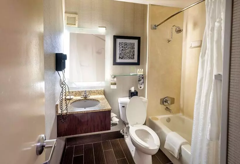 ２ダブルベッドのスタンダードルーム, Best Western Plus Strongsville Cleveland