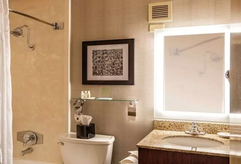 ２ダブルベッドのスタンダードルーム, Best Western Plus Strongsville Cleveland
