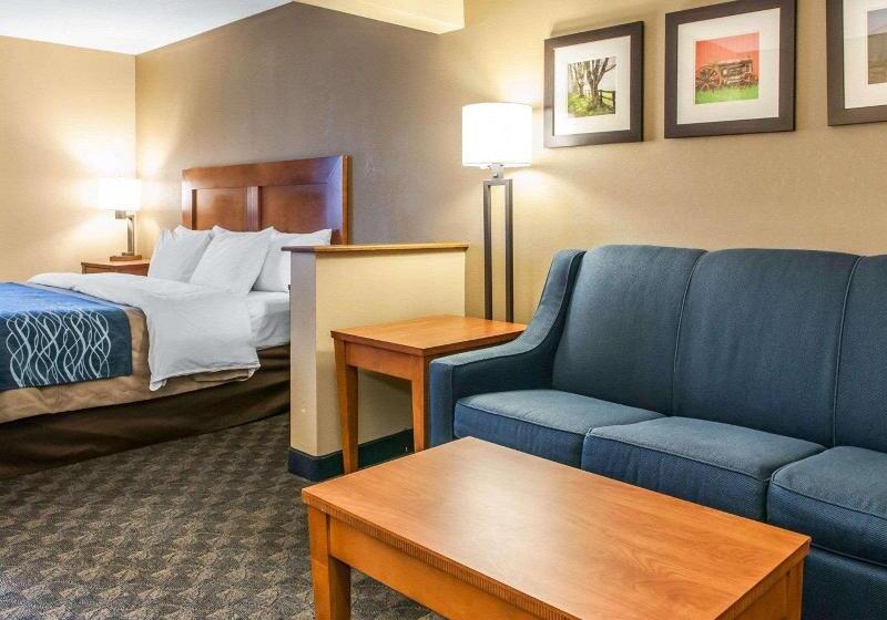 Стандартный Номер Кровать Кинг, Comfort Inn & Suites Napoleon