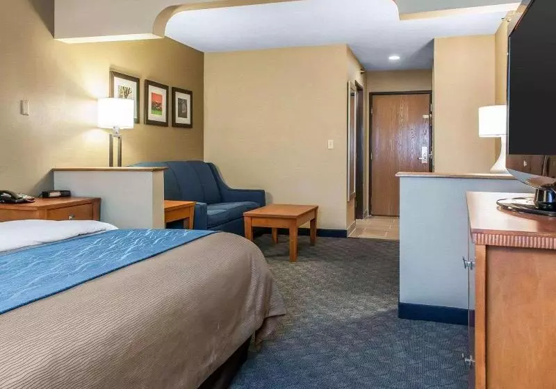 キングサイズベッドのスタンダードルーム, Comfort Inn & Suites Napoleon