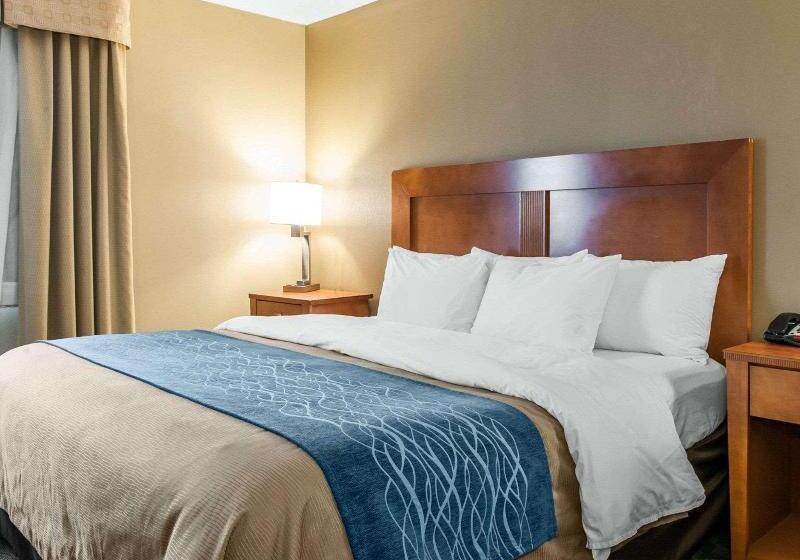 Стандартный Номер Кровать Кинг, Comfort Inn & Suites Napoleon