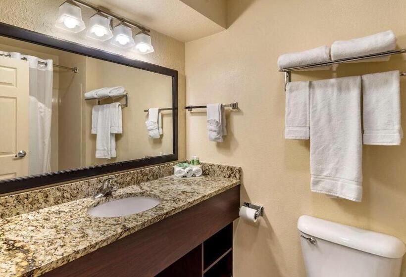 جناح سرير كينج, Comfort Inn & Suites Dahlonega University Area