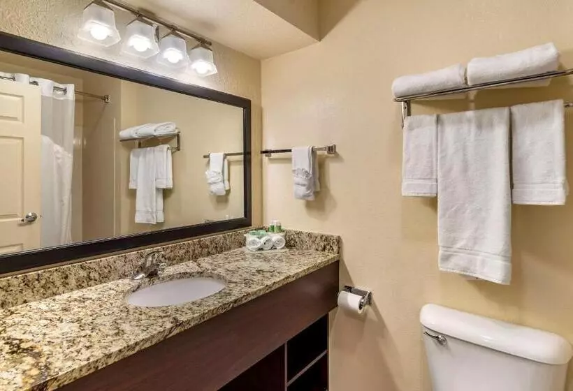キングサイズベッドのスイートルーム, Comfort Inn & Suites Dahlonega University Area