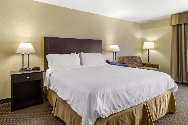 身障者適用スタンダードルーム, Comfort Inn & Suites Dahlonega University Area