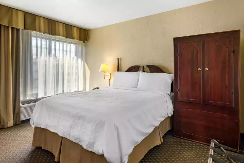 キングサイズベッドのスタンダードルーム, Comfort Inn & Suites Dahlonega University Area