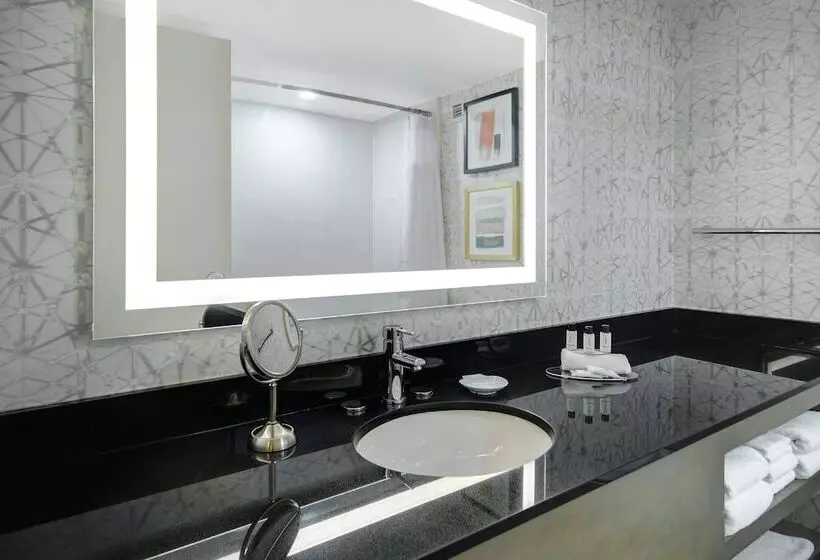２ダブルベッドのスタンダードルーム, Crowne Plaza Auburn Hills, An Ihg
