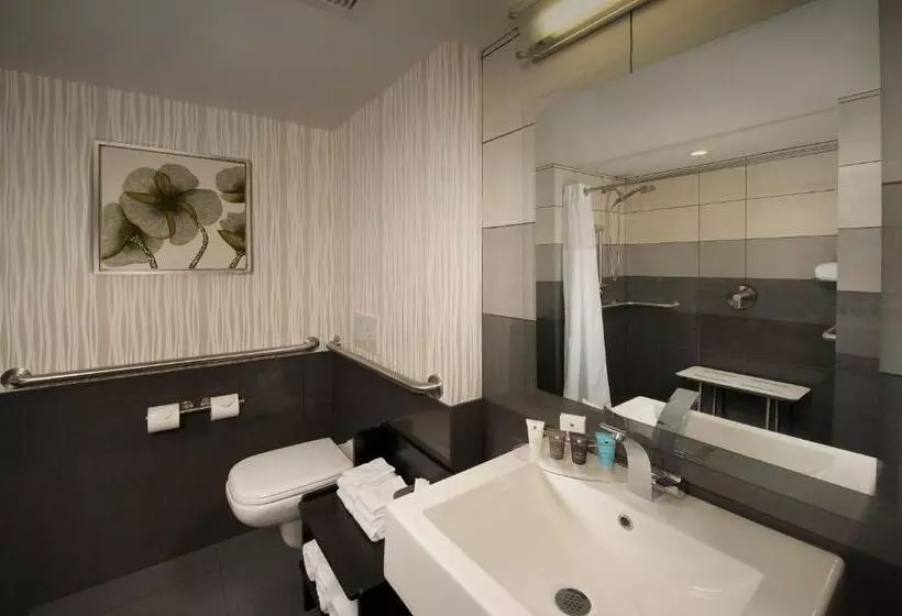 اتاق استاندارد با تخت بزرگ برای معلولان, Skybridge Seattle Airport