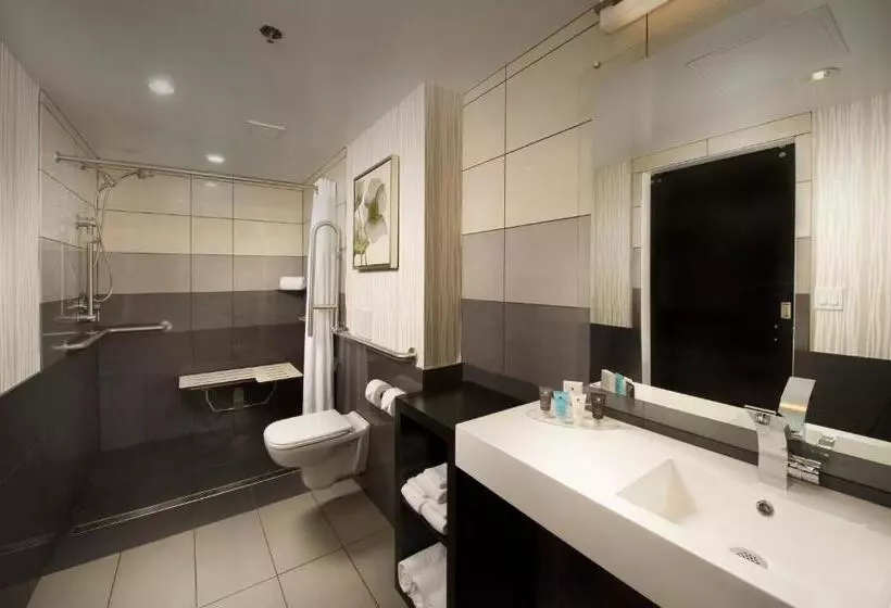 اتاق استاندارد برای معلولان, Skybridge Seattle Airport