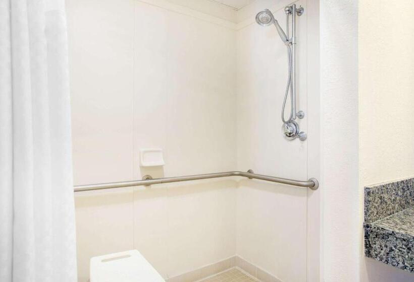 스탠다드 룸 킹사이즈 침대, Days Inn By Wyndham Metter