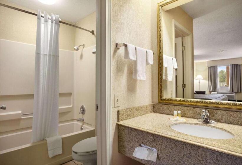 标准间, Days Inn & Suites By Wyndham Stuttgart