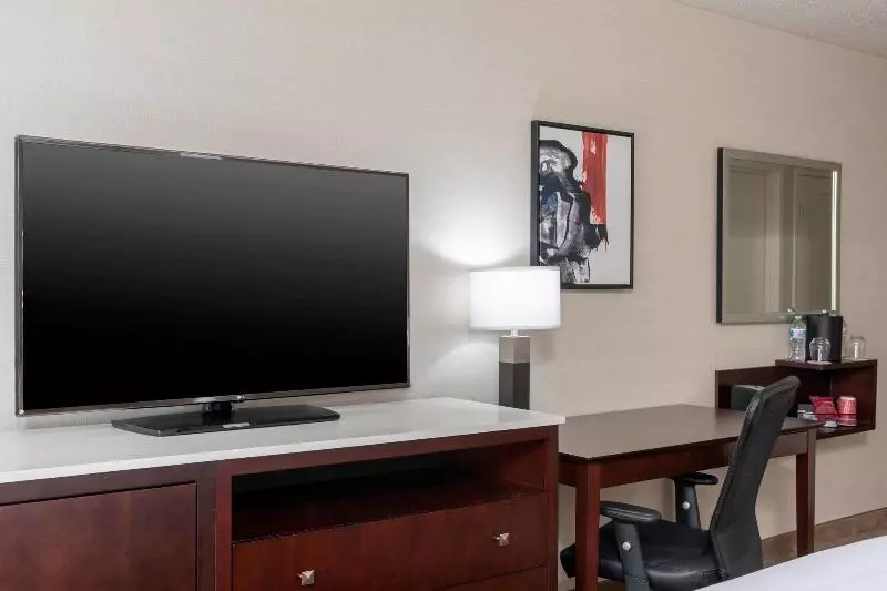 اتاق استاندارد با تخت دو نفره بزرگ, Delta Hotels By Marriott Kalamazoo Conference Center