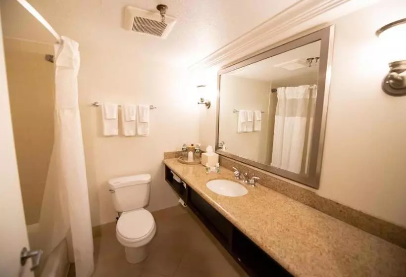 اتاق استاندارد با 2 تخت دوبل, Holiday Inn Bar Harbor Regency Hotel, An Ihg