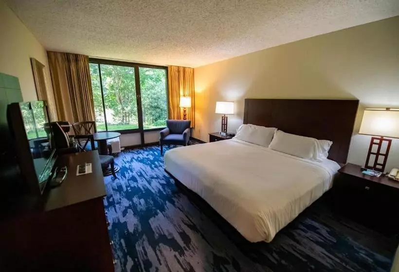 خانه 1 خوابه, Holiday Inn Bar Harbor Regency Hotel, An Ihg