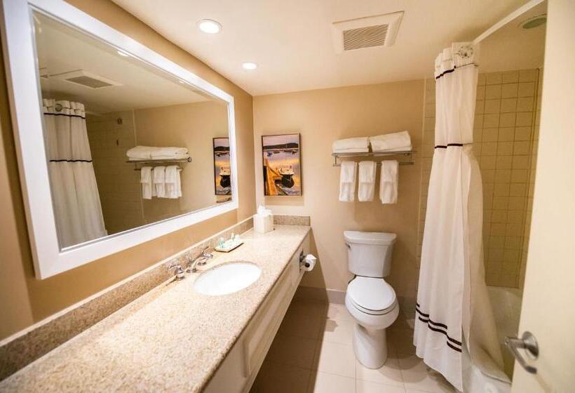 스탠다드 발코니 룸 측면 바다 전망, Holiday Inn Bar Harbor Regency Hotel, An Ihg