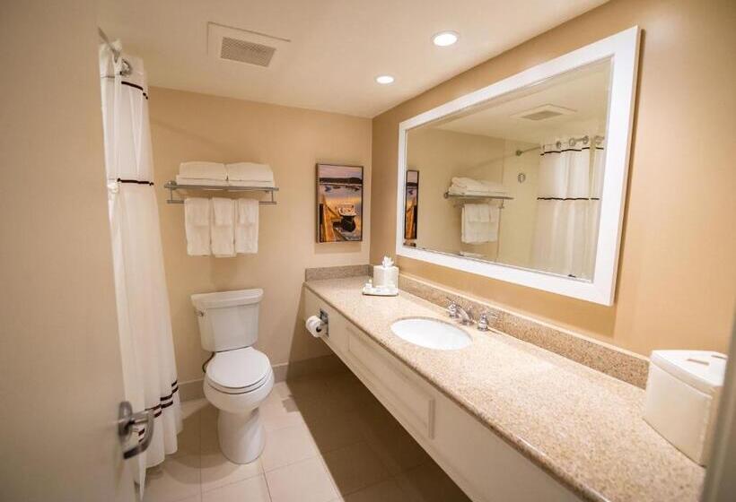 Номер Стандард Боковой Вид на Море с Балконом, Holiday Inn Bar Harbor Regency Hotel, An Ihg