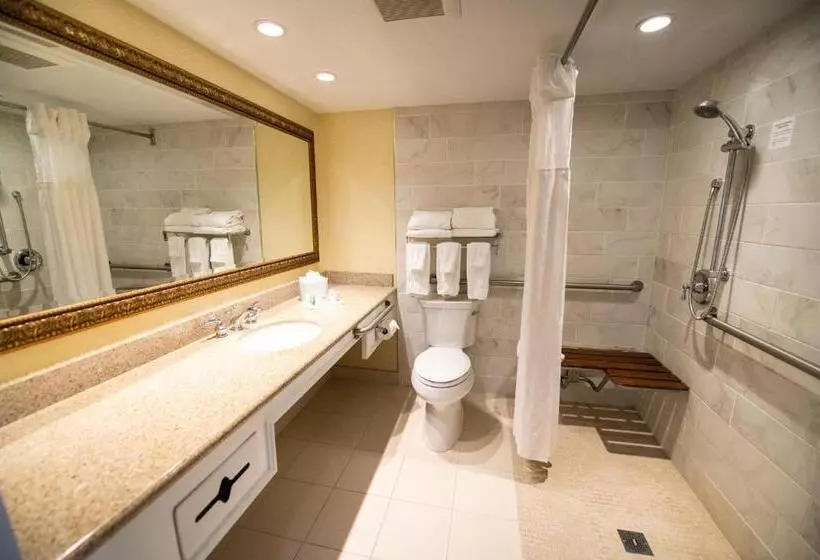 اتاق استاندارد با تخت بزرگ برای معلولان, Holiday Inn Bar Harbor Regency Hotel, An Ihg