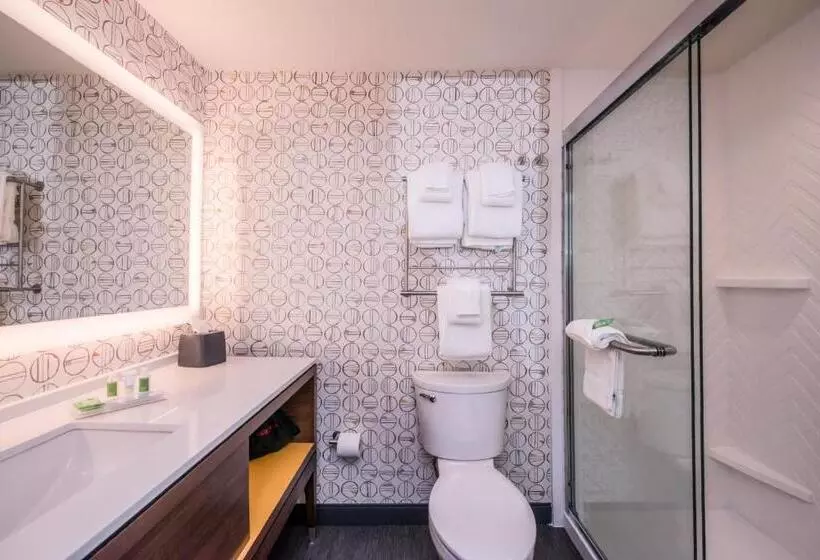 身障者適用キングサイズベッドルーム, Holiday Inn Detroit Northwest   Livonia, An Ihg