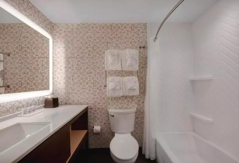 身障者適用キングサイズベッドルーム, Holiday Inn Detroit Northwest   Livonia, An Ihg