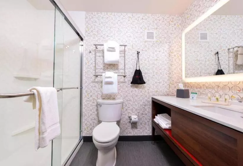 身障者適用キングサイズベッドルーム, Holiday Inn Detroit Northwest   Livonia, An Ihg
