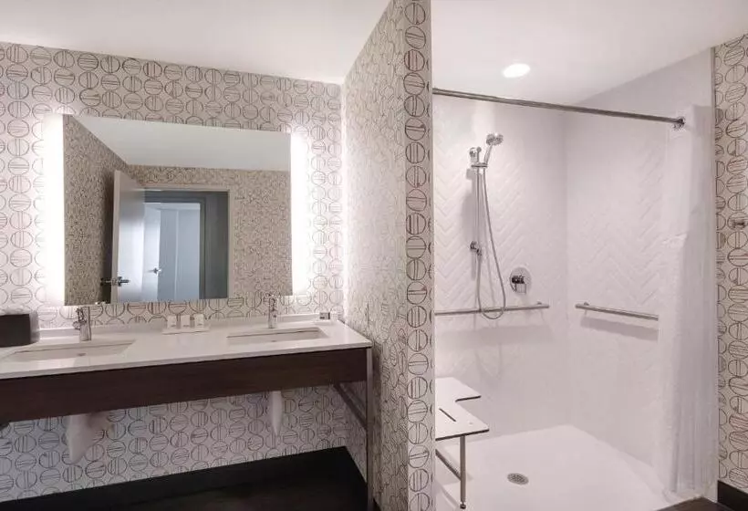身障者適用スタンダードルーム, Holiday Inn Detroit Northwest   Livonia, An Ihg