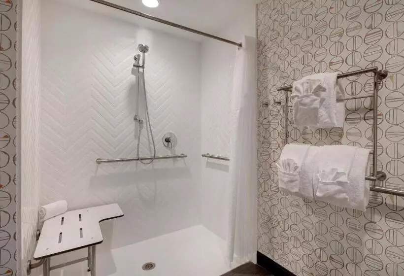 身障者適用スタンダードルーム, Holiday Inn Detroit Northwest   Livonia, An Ihg