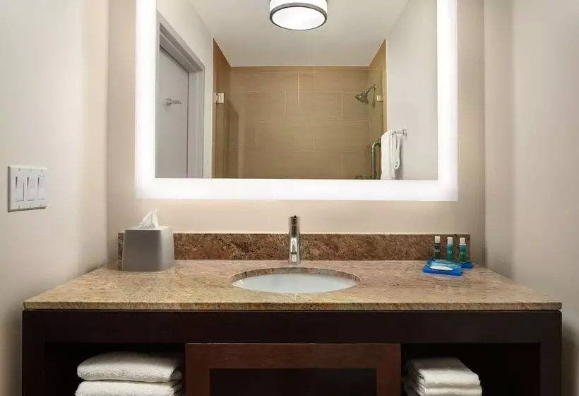 اتاق استاندارد, Holiday Inn Express Hotel & Suites Belmont, An Ihg