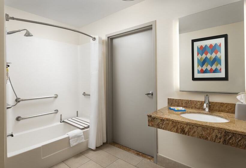 스탠다드 룸, Holiday Inn Express Hotel & Suites Belmont, An Ihg