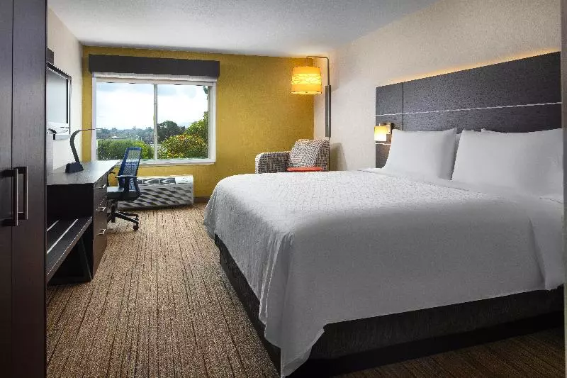 اتاق استاندارد با تخت بزرگ, Holiday Inn Express Hotel & Suites Belmont, An Ihg