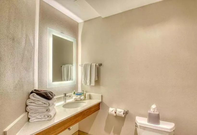 اتاق لوکس با تخت بزرگ, Holiday Inn Express Hotel & Suites Oshkosh   State Route 41, An Ihg