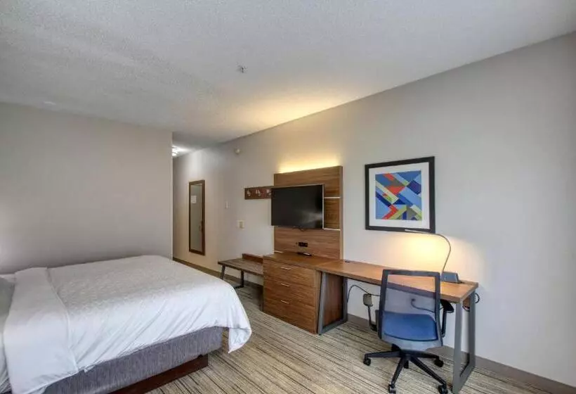 اتاق استاندارد با تخت بزرگ, Holiday Inn Express Hotel & Suites Oshkosh   State Route 41, An Ihg